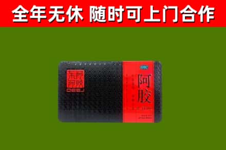 织金回收阿胶